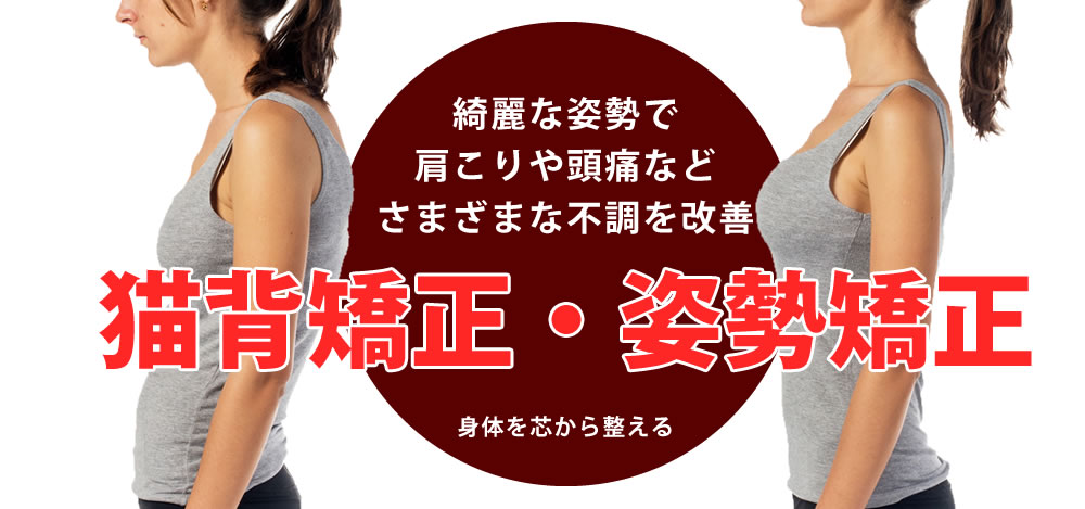 骨盤矯正・姿勢矯正